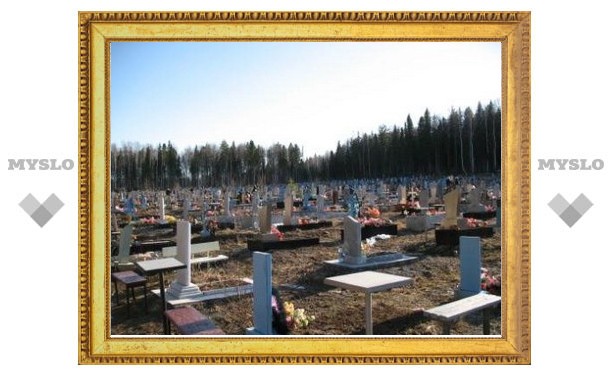 Прокуратура заинтересовалась ясногорскими кладбищами в Тульской области