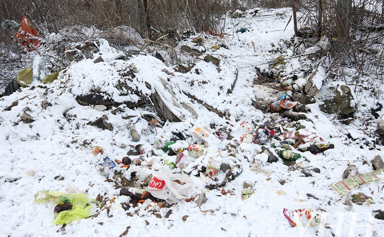 Щекинская прокуратура потребовала убрать с трассы М-2 «Крым» мусорную свалку