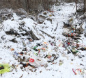 Щекинская прокуратура потребовала убрать с трассы М-2 «Крым» мусорную свалку