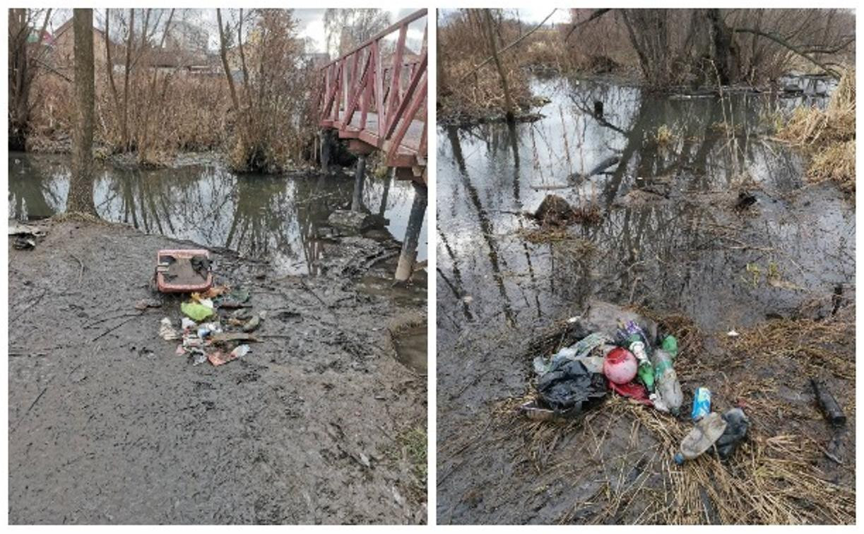 В Туле расчистят от мусора русло Щегловского ручья