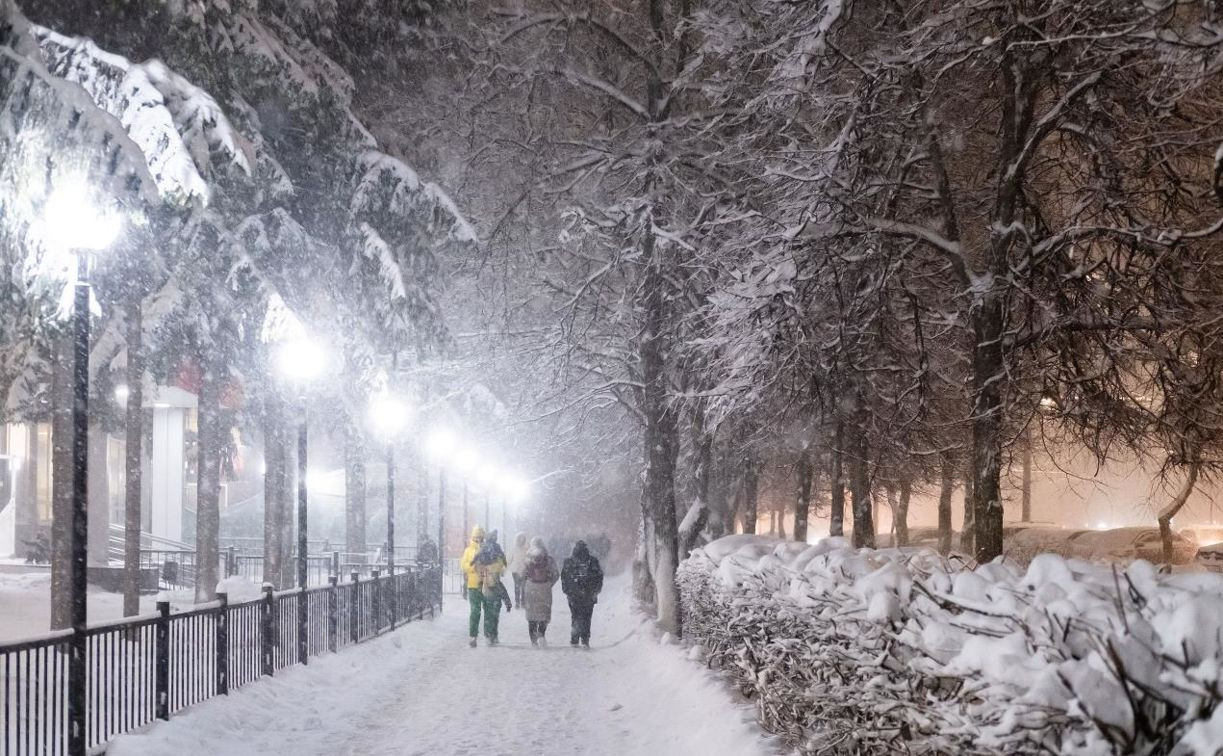 Мягкая и снежная: синоптики дали новый прогноз на зиму