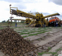 Бывшего гендиректора Товарковского сахарного завода осудили за невыплату зарплаты сотрудникам