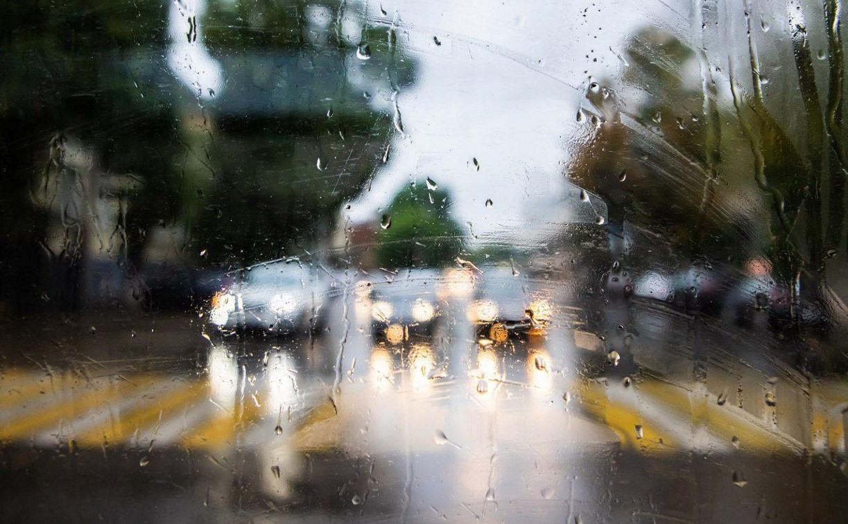 Погода в Туле 7 июля: дождь, умеренный ветер и низкое давление