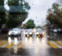 Погода в Туле 7 июля: дождь, умеренный ветер и низкое давление