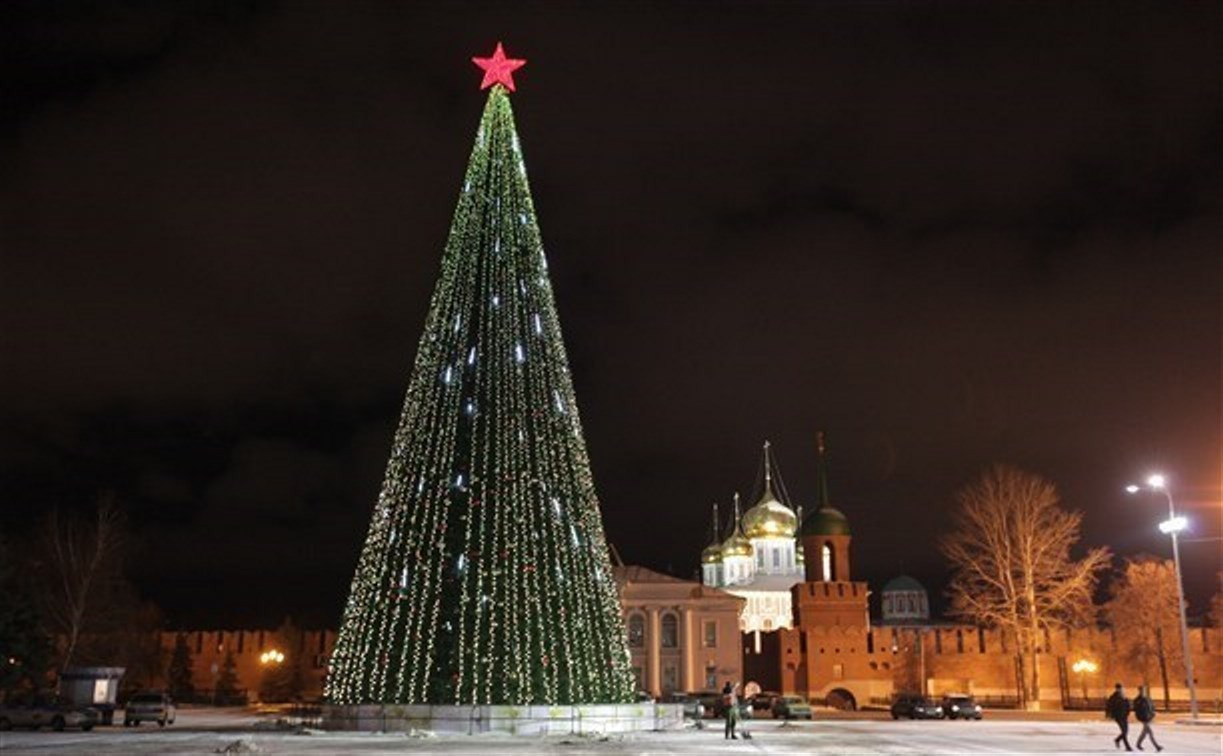 Установка и демонтаж главной тульской новогодней ёлки обойдутся в миллион рублей