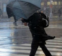 В Тульской области объявлено метеопредупреждение из-за сильного ветра 