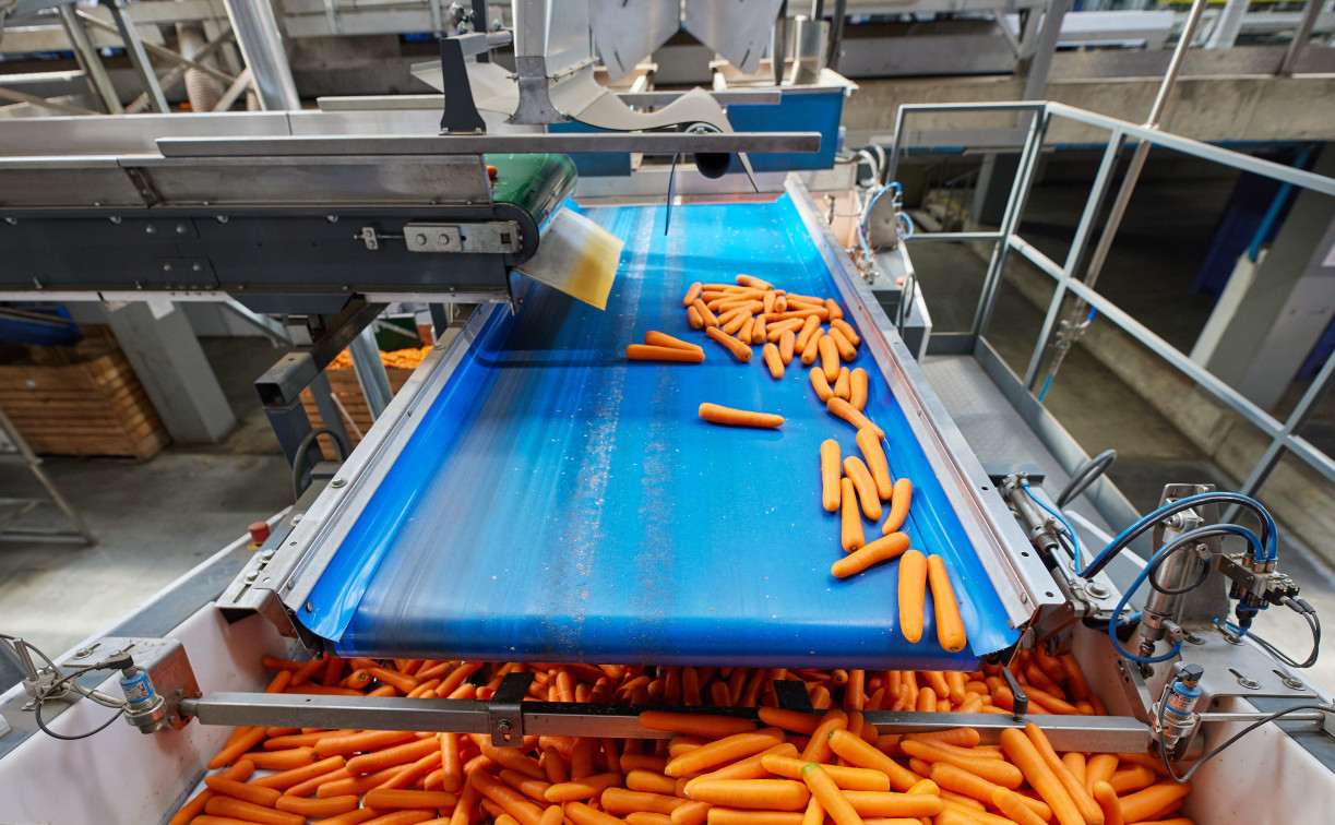 Тульское предприятие «Мираторг» за год вдвое увеличило объем производства замороженных овощей