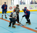 В Туле стартовал чемпионат области по хоккею на роликах