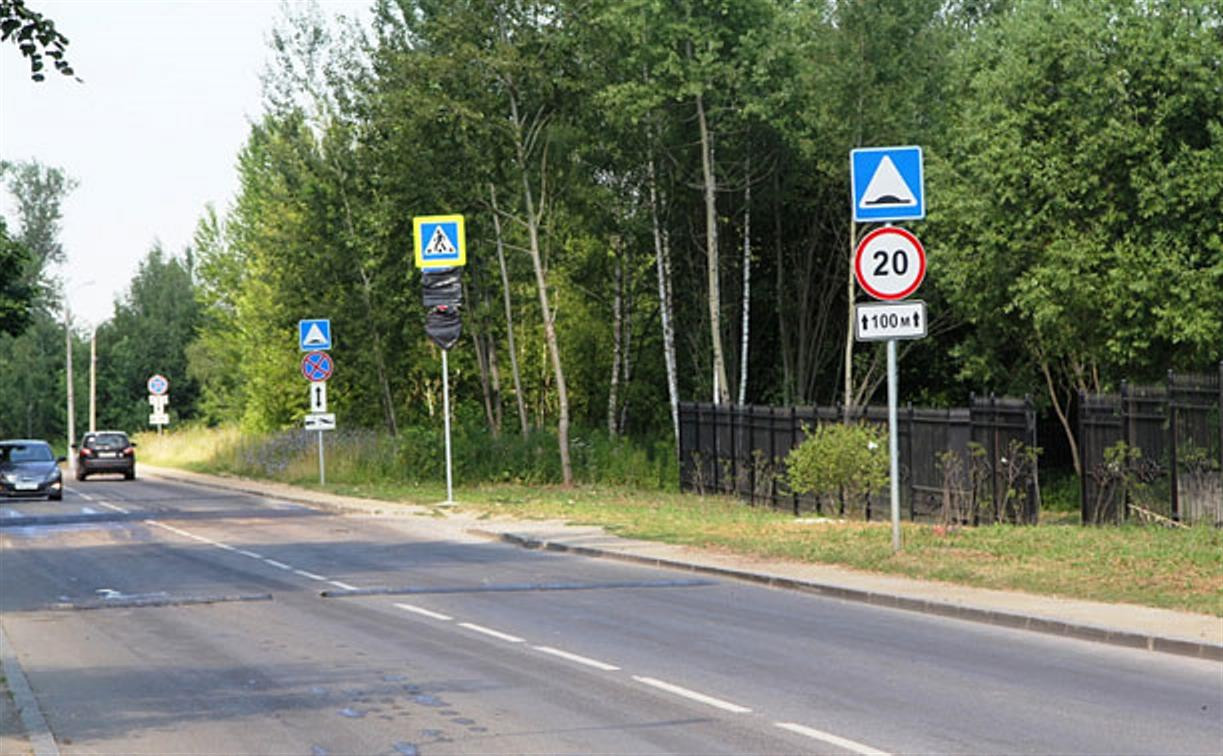 Рядом с Платоновским парком в Туле обустроят два пешеходных перехода