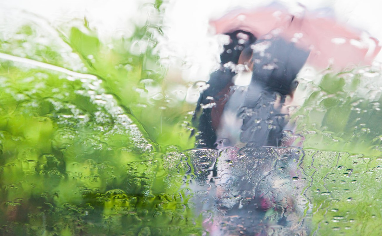 Погода в Туле 7 августа: дождливо и ветрено