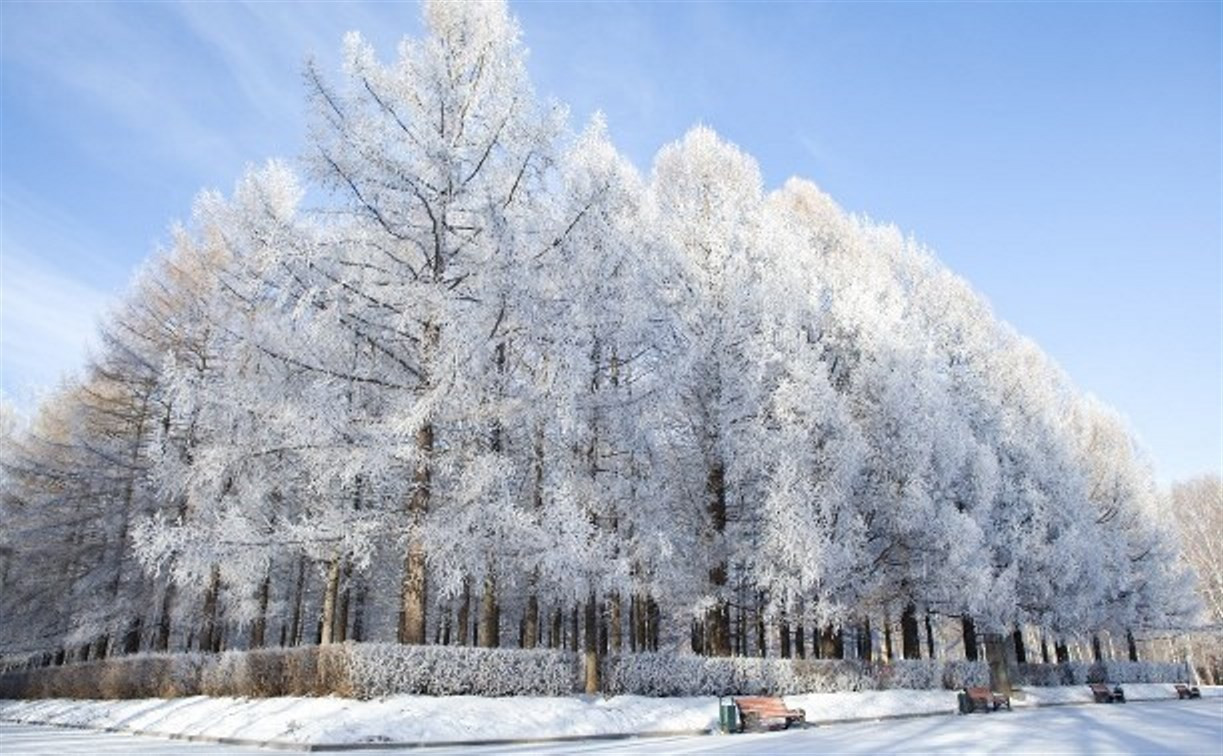 На конкурс «Энтузиазм фотографов – охране природы» прислали уже более 200 работ