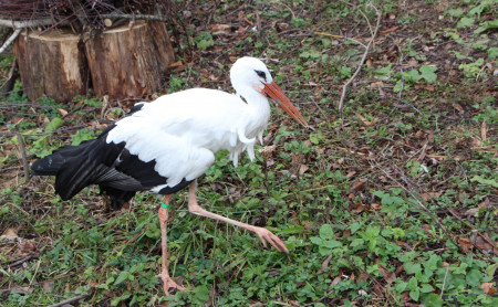 Жизнь Тулы и области