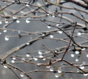 Погода в Туле 4 апреля: пасмурно, до +9, небольшой дождь