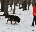 В Центральном парке прошёл рейд по выявлению нарушений выгула собак