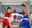 В Тульской области стартовал чемпионат ЦФО по боксу
