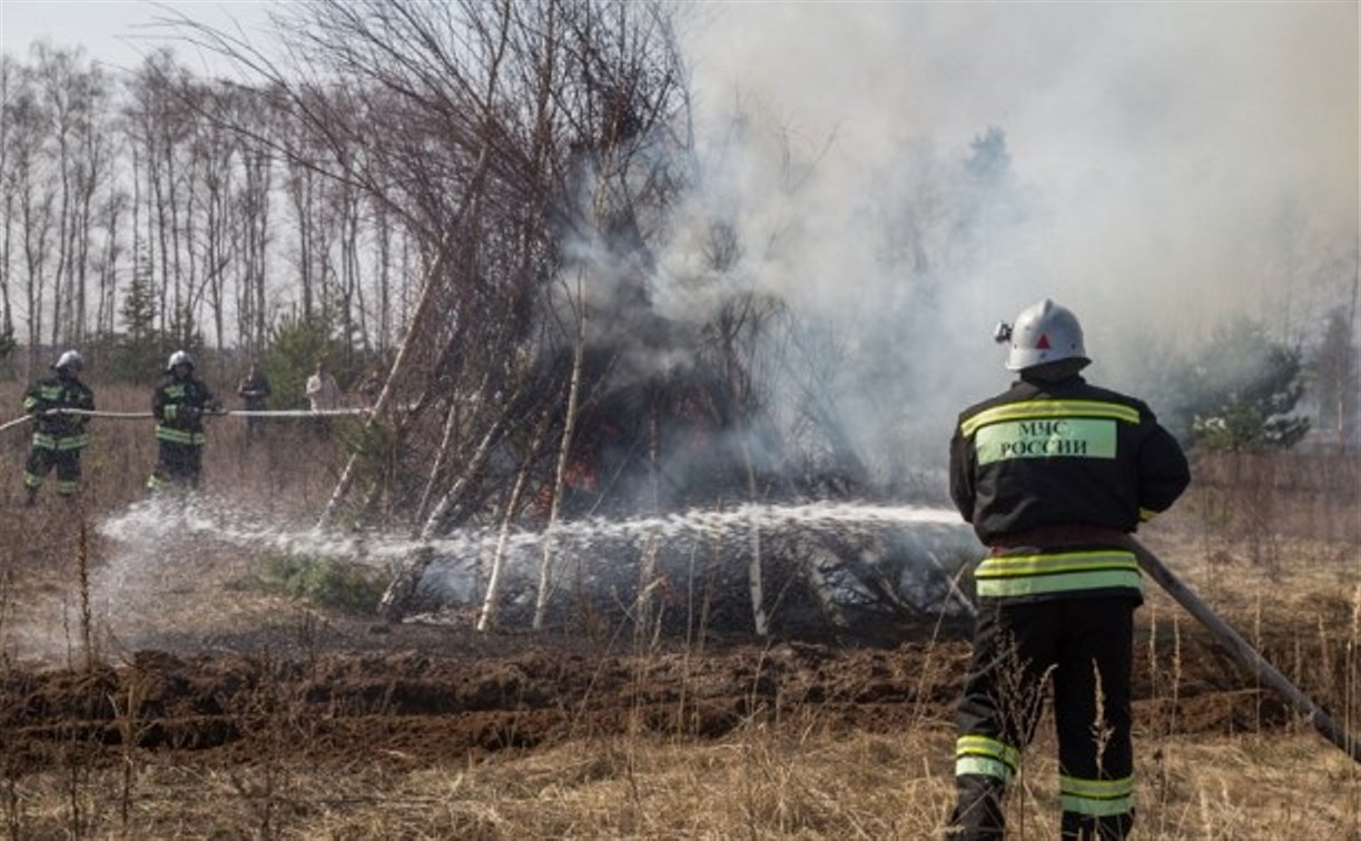 В трёх районах Тульской области сохраняется высокий уровень пожароопасности