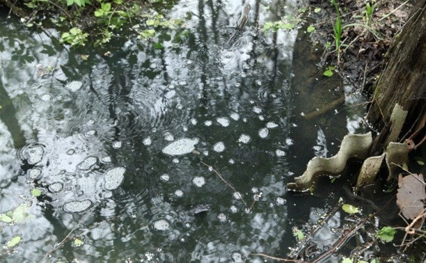 СЭС завершила исследование воды в прудах Ленинского района