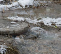 По факту слива канализационных вод в пруд администрация Тулы проведёт проверку