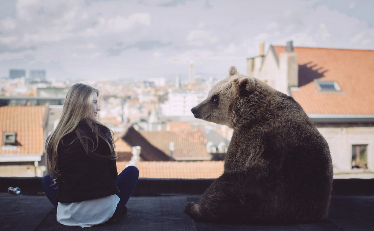 Депутаты Госдумы хотят запретить россиянам держать дома медведей 