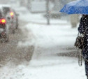 Погода в Туле 20 декабря: до 13 градусов мороза, облачно и снежно
