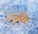 Погода в Туле 27 ноября: до +3 градусов, снег с дождём и ветер