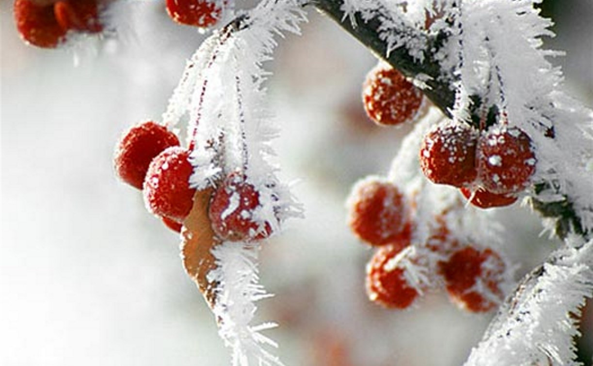 МЧС: В Тульской области за сутки похолодает на 10-12ºС