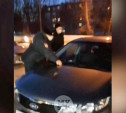 В Узловой пьяный «блогер» оскорбил полицейских, кинул в их машину мусор и был наказан