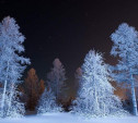 Погода на выходные: в воскресенье туляков ждет самая холодная ночь января