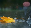 Погода в Туле 4 октября: облачно, дождливо, до +16