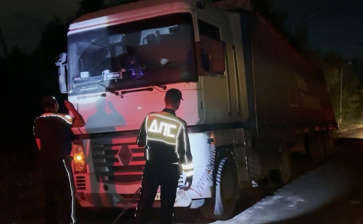 Тульские гаишники спасли фуру из дорожной ловушки: видео