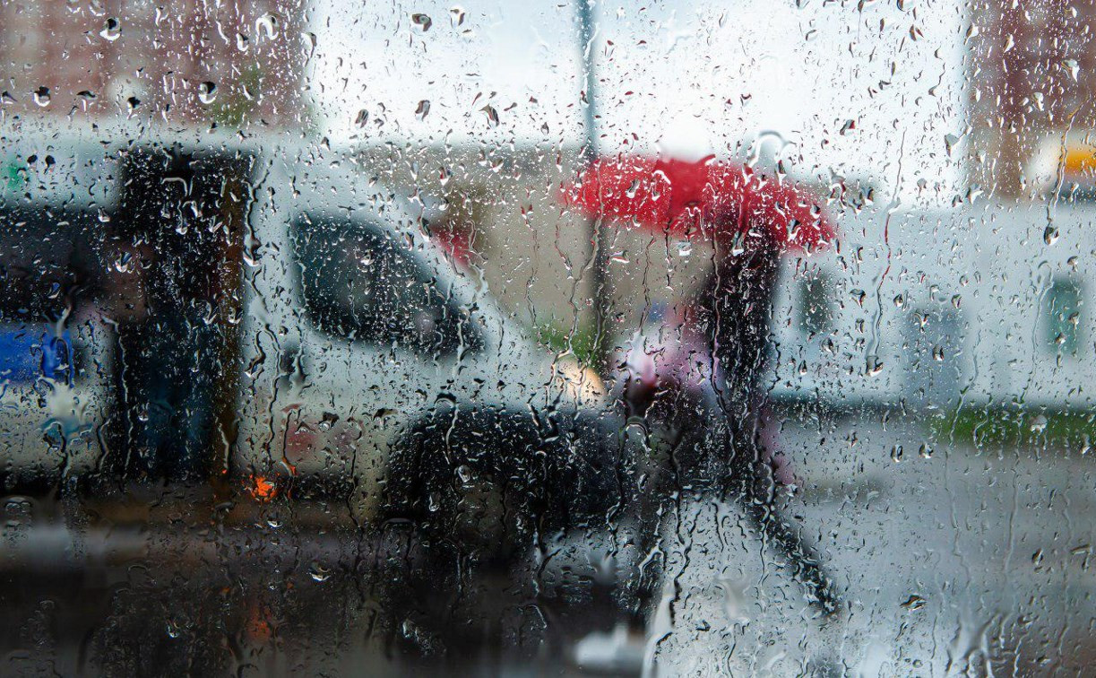 Погода в Туле 25 мая: дождь с грозой и тепло