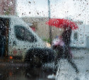 Погода в Туле 25 мая: дождь с грозой и тепло