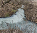 Экологическая катастрофа в г. Донском: специалисты проводят расследование