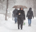 Погода в Туле 8 февраля: небольшой снег и сильный ветер