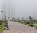 Метеопредупреждение: в ночь на 12 сентября на Тулу опустится туман