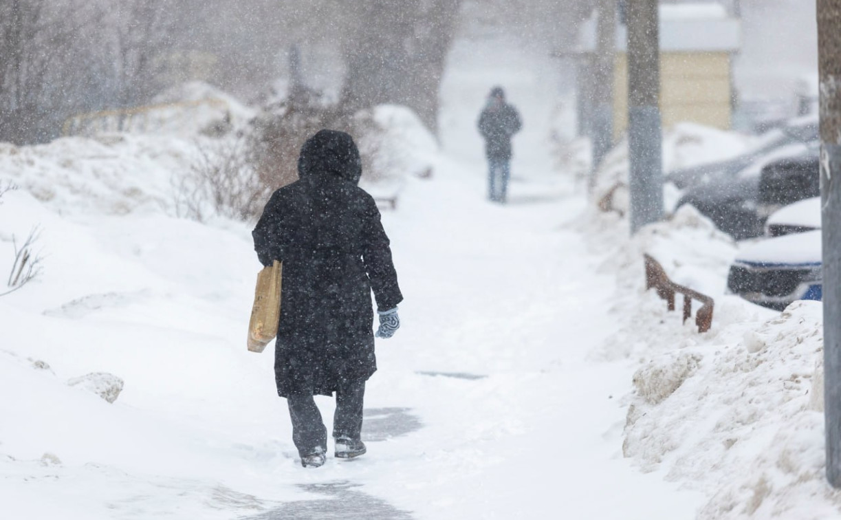 Сильный снегопад ожидается в Тульской области утром 24 февраля