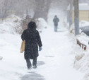Сильный снегопад ожидается в Тульской области утром 24 февраля