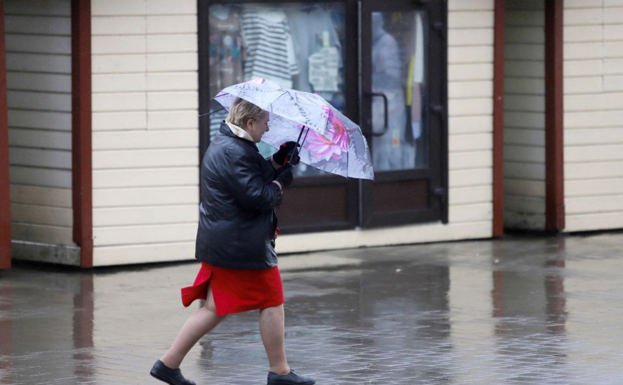 Погода в Туле 2 апреля: дожди и до +15