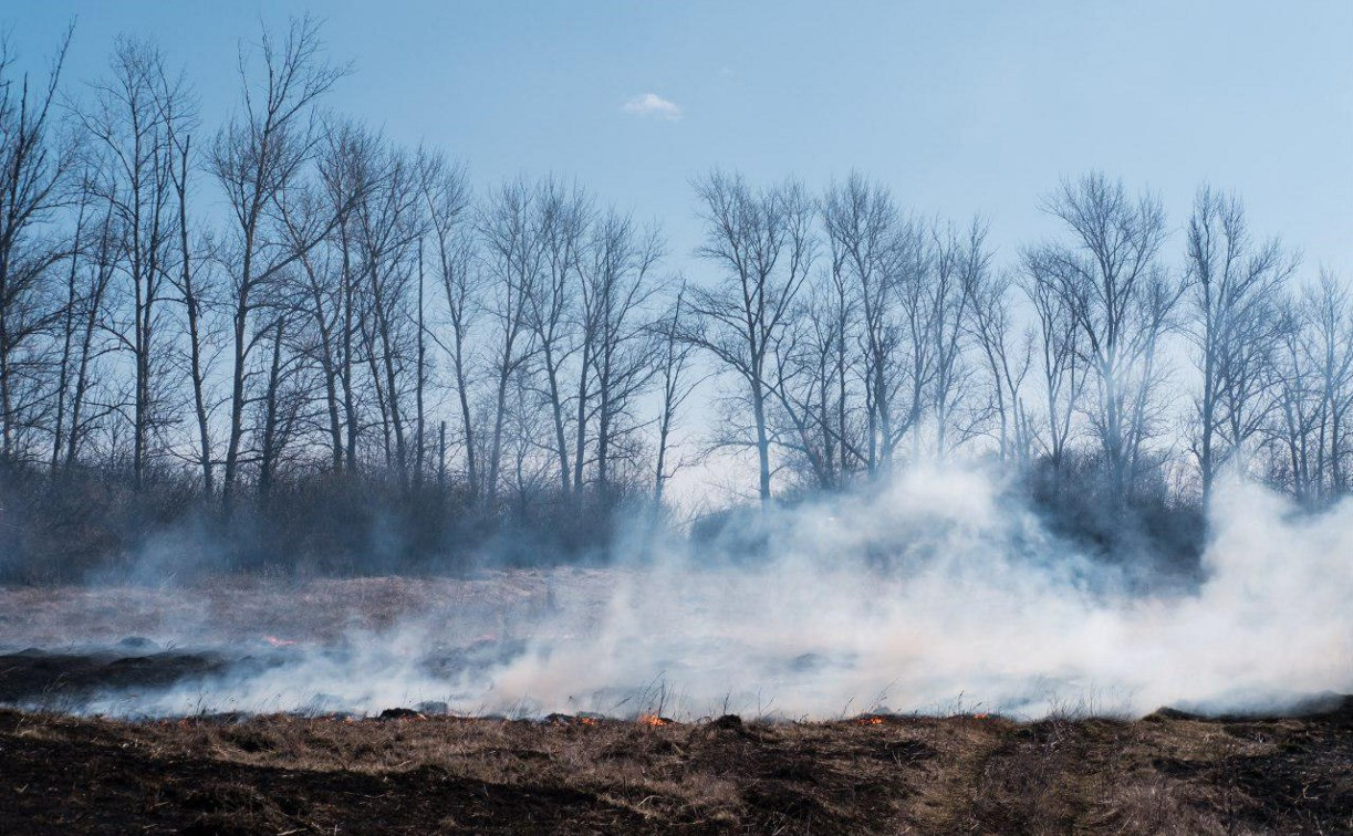 За неделю тульские пожарные тушили сухую траву более 600 раз