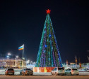 19 ноября в Туле начнут устанавливать новогоднюю ёлку