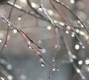 Погода в Туле 30 марта: похолодание и дождь