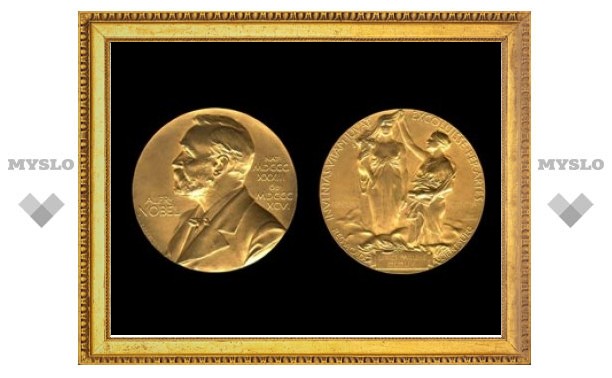 Первого февраля завершится прием заявок на Нобелевскую премию 2010 года