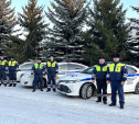 В Тульской области инспекторы ГИБДД спасли водителя с пассажирами из снежного плена