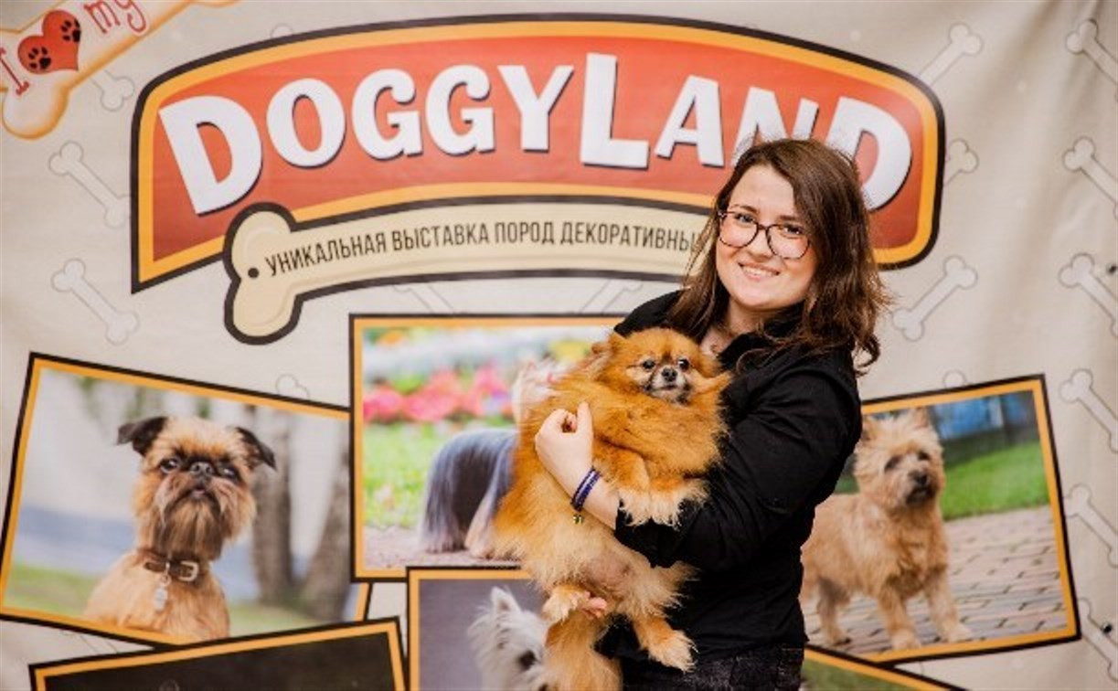 В ТРЦ «РИО» откроется уникальная выставка собак 