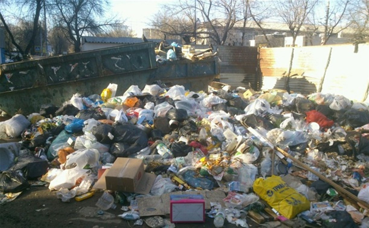 Тульские коммунальщики несвоевременно вывозят мусор и не выкашивают сорняки