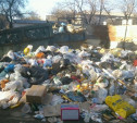 Тульские коммунальщики несвоевременно вывозят мусор и не выкашивают сорняки