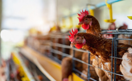 Жизнь Тулы и области