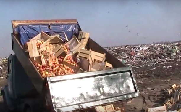 На мусорном полигоне в Туле уничтожили 22 тонны украинских яблок