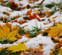 Погода в Туле 25 октября: облачно, холодно, небольшой снег