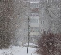 Погода в Туле 7 февраля: мокрый снег и сильный ветер